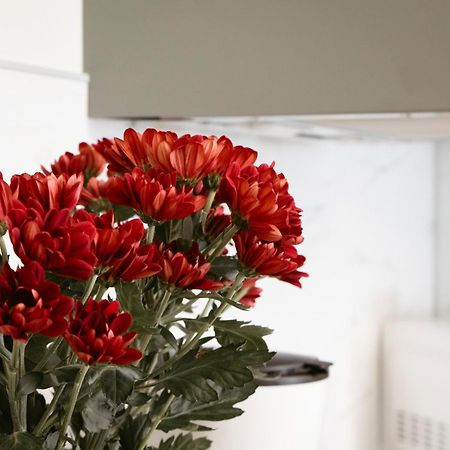 Apartman Anastasie Prag Exteriör bild